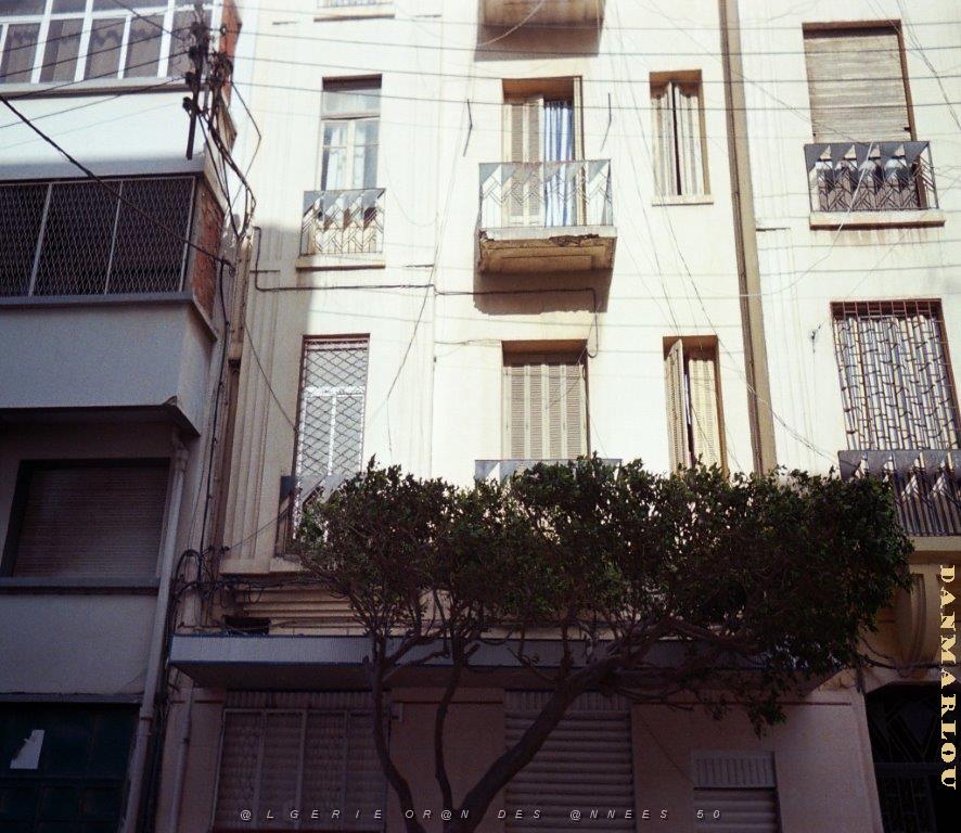 oran 025.jpg